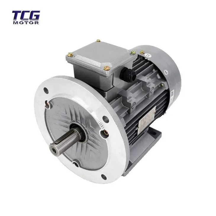 foot amount flanged motor