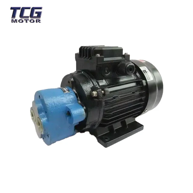 Hollow Shaft Motor For Pump