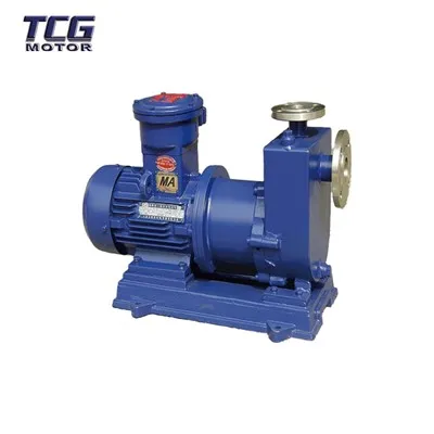 Topp 10 tillverkare av magnetpumpar i Kina